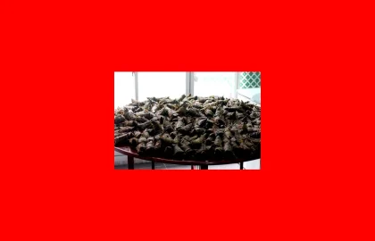 白酒品鉴：香型与口感层次