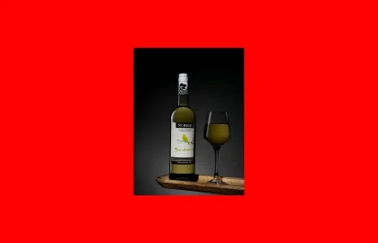 酒桌文化：敬酒礼仪与讲究