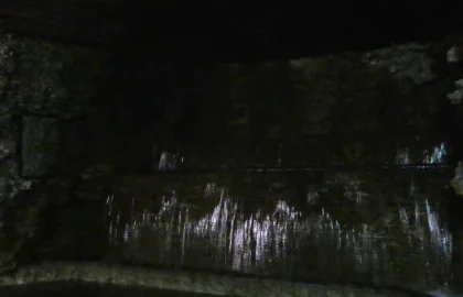 存酒的温湿度：环境是关键