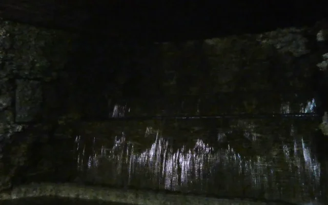 存酒的温湿度：环境是关键